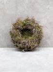 Moss wreath nest with bonsai