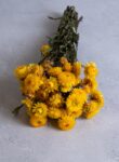 Helichrysum bunch natural