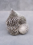 Maritima pine cone 10-14cm