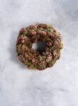 Moss wreath Norway spruce