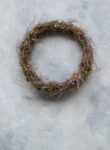 Moss wreath thin wild bonsai