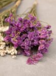 Statice bunch natural