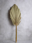 Palm leaf king spear